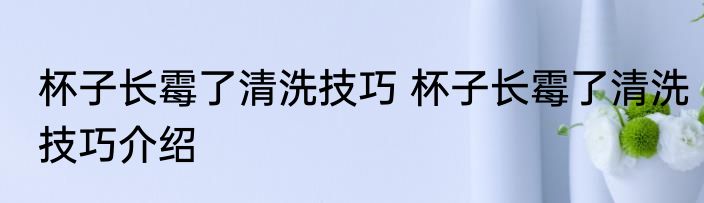 杯子长霉了清洗技巧 杯子长霉了清洗技巧介绍