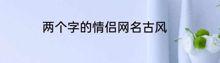 两个字的情侣网名古风