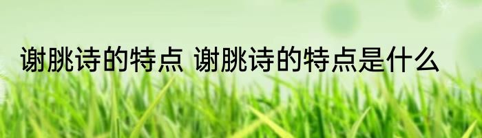 谢朓诗的特点 谢朓诗的特点是什么