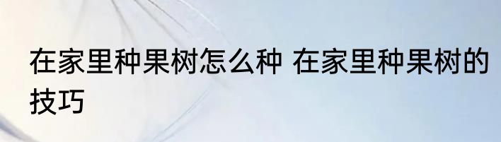 在家里种果树怎么种 在家里种果树的技巧
