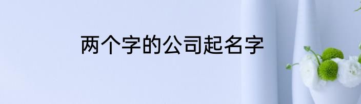 两个字的公司起名字