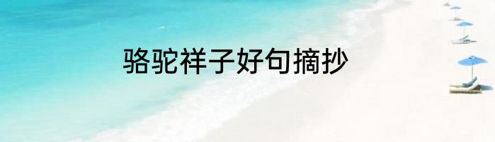 骆驼祥子好句摘抄