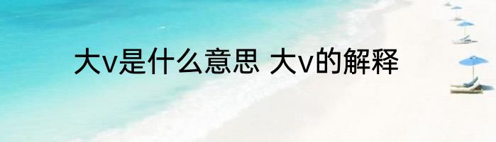 大v是什么意思 大v的解释