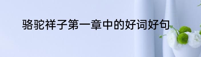 骆驼祥子第一章中的好词好句