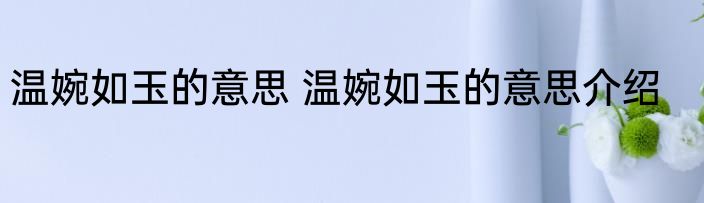 温婉如玉的意思 温婉如玉的意思介绍