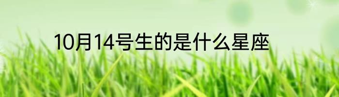 10月14号生的是什么星座