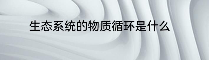 生态系统的物质循环是什么