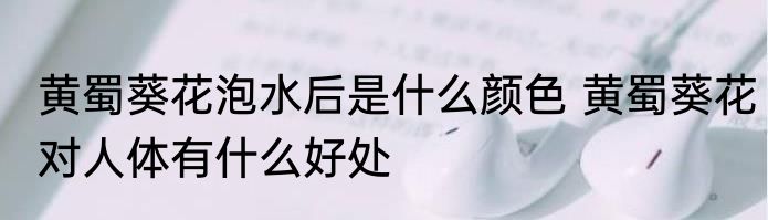 黄蜀葵花泡水后是什么颜色 黄蜀葵花对人体有什么好处