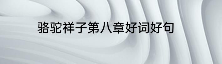 骆驼祥子第八章好词好句