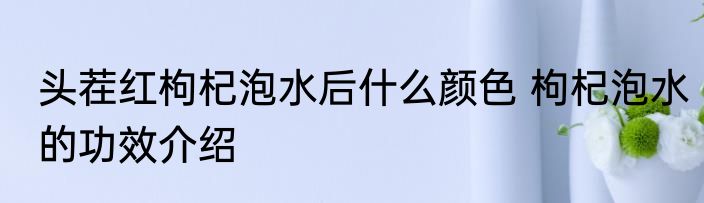 头茬红枸杞泡水后什么颜色 枸杞泡水的功效介绍
