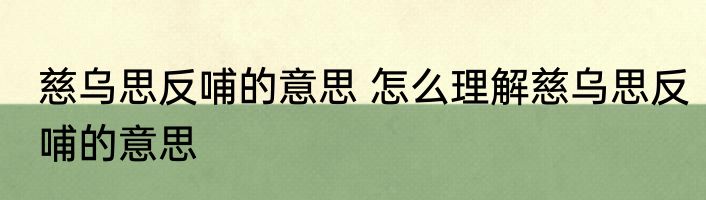 慈乌思反哺的意思 怎么理解慈乌思反哺的意思