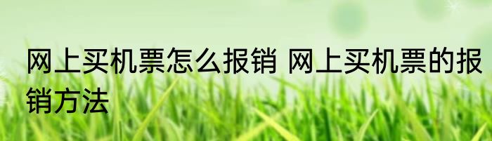 网上买机票怎么报销 网上买机票的报销方法
