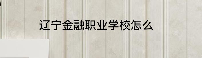 辽宁金融职业学校怎么