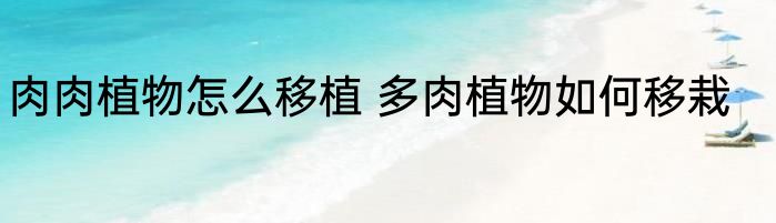 肉肉植物怎么移植 多肉植物如何移栽