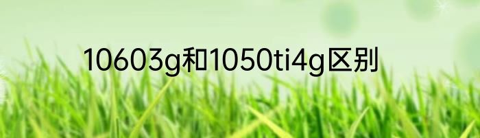 10603g和1050ti4g区别
