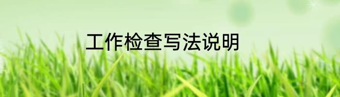 工作检查写法说明