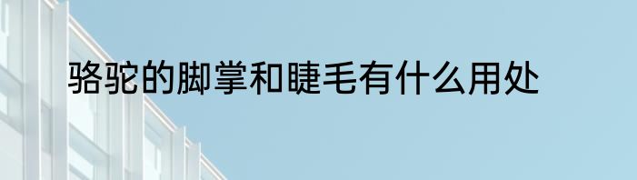 骆驼的脚掌和睫毛有什么用处