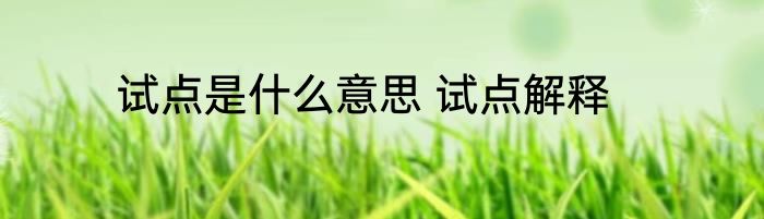 试点是什么意思 试点解释
