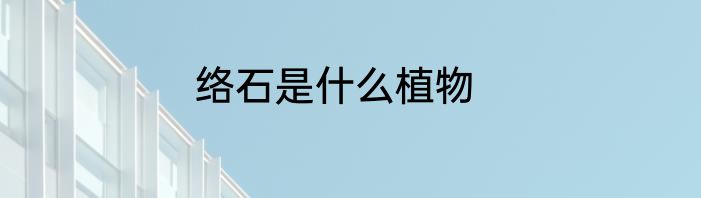 络石是什么植物
