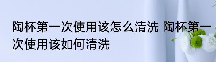 陶杯第一次使用该怎么清洗 陶杯第一次使用该如何清洗
