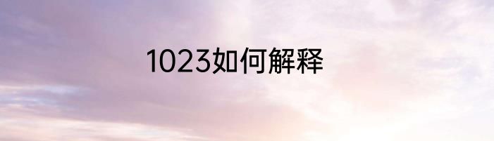 1023如何解释