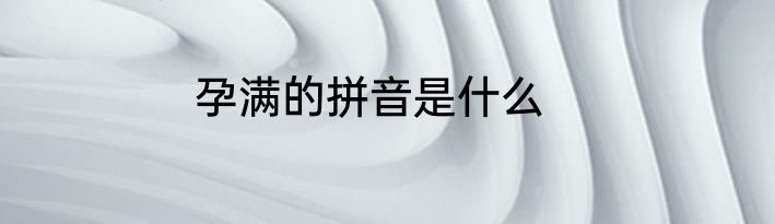 孕满的拼音是什么