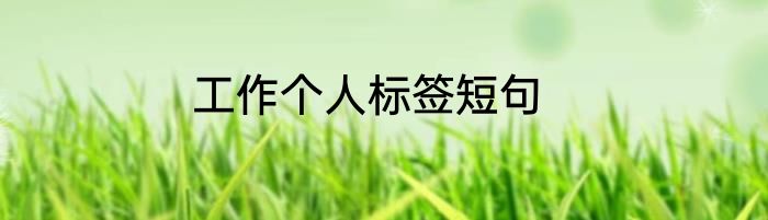 工作个人标签短句