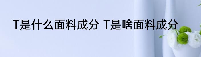 T是什么面料成分 T是啥面料成分