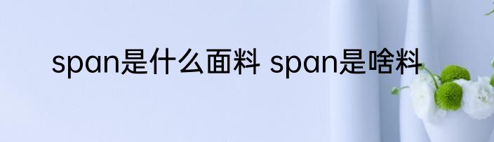 span是什么面料 span是啥料
