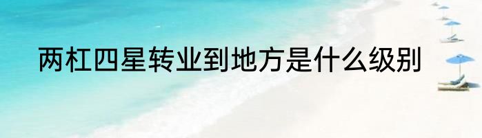 两杠四星转业到地方是什么级别