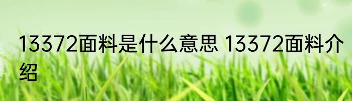 13372面料是什么意思 13372面料介绍