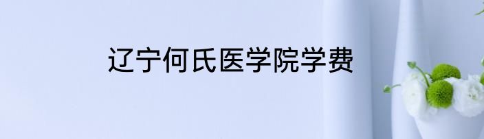 辽宁何氏医学院学费