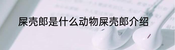 屎壳郎是什么动物屎壳郎介绍