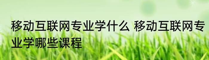 移动互联网专业学什么 移动互联网专业学哪些课程