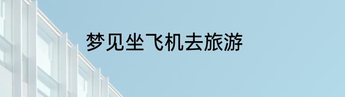 梦见坐飞机去旅游