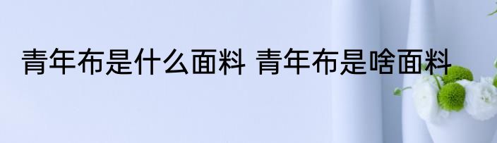 青年布是什么面料 青年布是啥面料