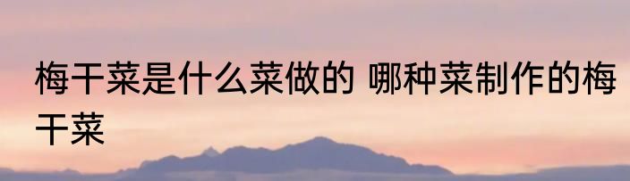 梅干菜是什么菜做的 哪种菜制作的梅干菜