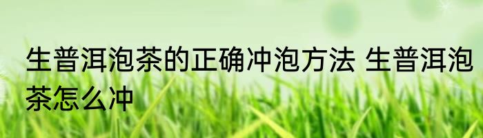 生普洱泡茶的正确冲泡方法 生普洱泡茶怎么冲