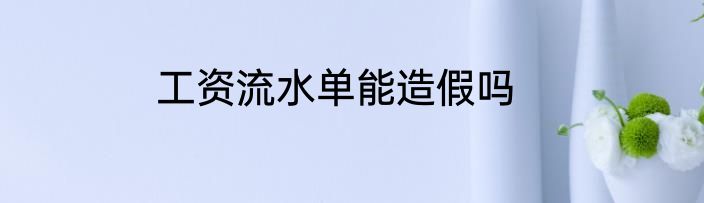工资流水单能造假吗