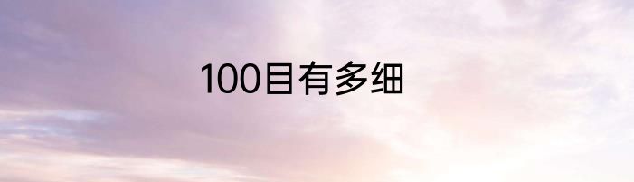 100目有多细