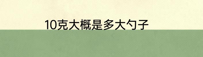 10克大概是多大勺子