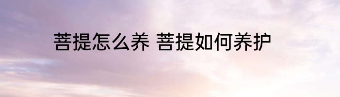 菩提怎么养 菩提如何养护