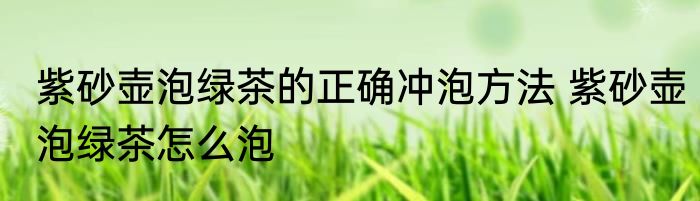 紫砂壶泡绿茶的正确冲泡方法 紫砂壶泡绿茶怎么泡