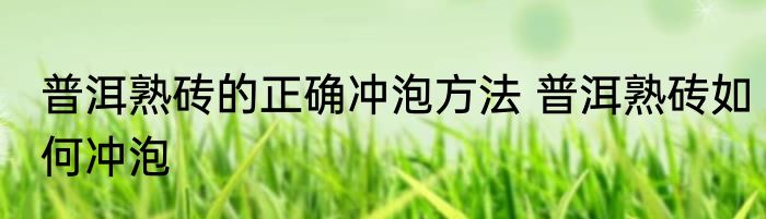 普洱熟砖的正确冲泡方法 普洱熟砖如何冲泡