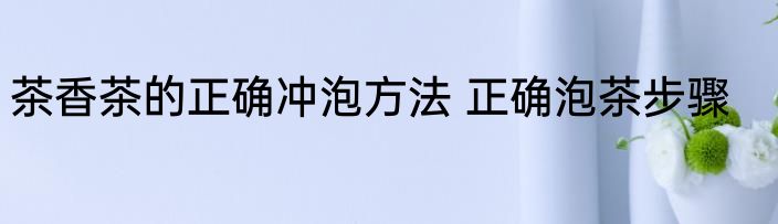 茶香茶的正确冲泡方法 正确泡茶步骤