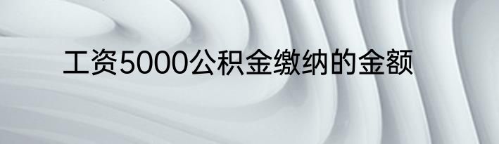 工资5000公积金缴纳的金额