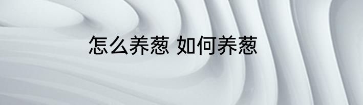 怎么养葱 如何养葱