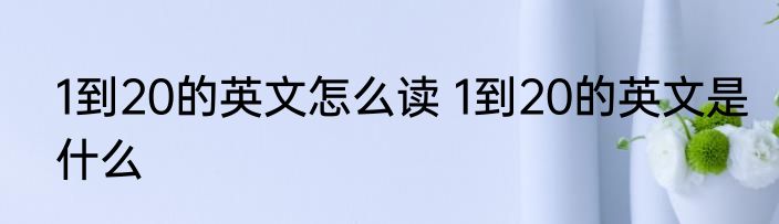 1到20的英文怎么读 1到20的英文是什么