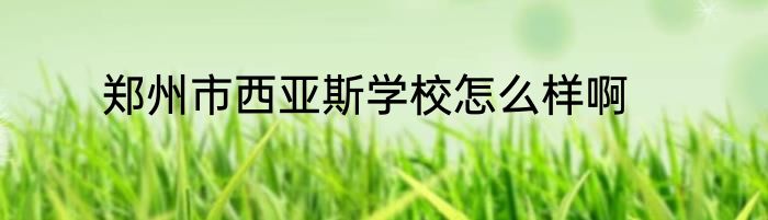 郑州市西亚斯学校怎么样啊