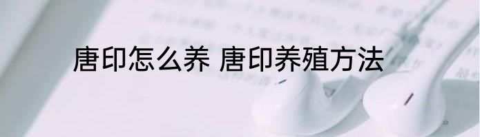 唐印怎么养 唐印养殖方法